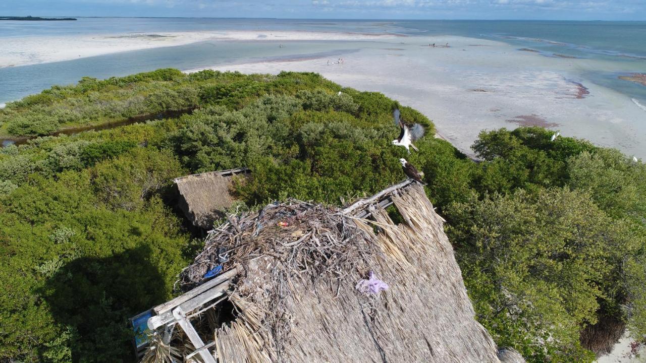 Mayan Villas Inn A Dream Vacation B & B Chiquila Екстериор снимка